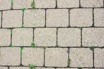 Wall texture of castle fortress in Dubrovnik old town, Croatia having green grass