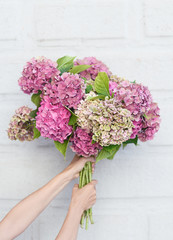 Beautiful hydrangea flowers