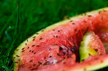 A lot of fruit flies are feeding on a discarded watermelon.