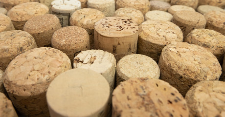 Many wine corks standing on edge. Close up, shallow depth of field. Different sizes, colors and shapes.