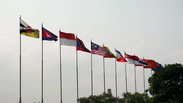 National Flags of the ten ASEAN Countries Blowing In The Wind