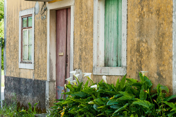 old house with a calla lilie bush in the front door. © Guaraciaba