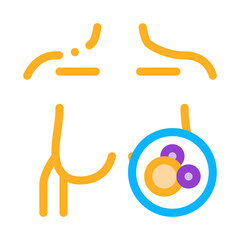 female breast icon vector. female breast sign. color symbol illustration