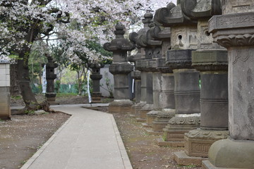 Jap&oacute;n y la simetr&iacute;a