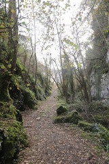 Camino