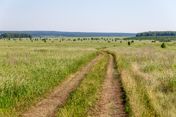 Fototapeta na wymiar The harvest in the south Ural. Russia
