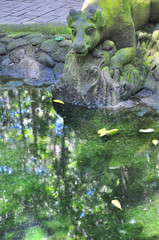 モンキーフォレストの石像と神秘的な池