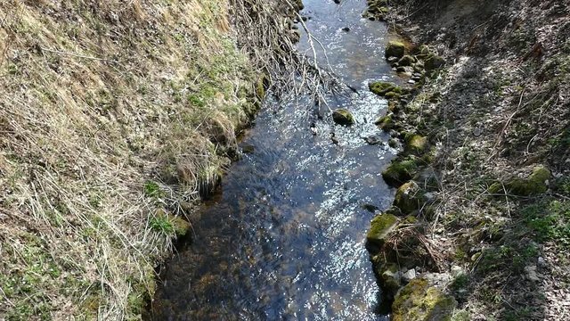 beautiful mountain creek in sumava natural park in czechia