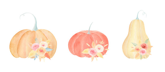 Decorative pumpkin set with leaves and flowers. Autumn bouquet for greeting cards, Thanksgiving day, Helloween, seasonal sale template. Harvest collection. Hello autumn illustration. Aesthetic palette