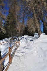 Dolomiti 2