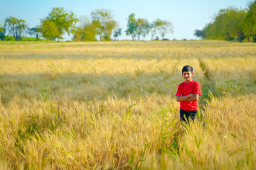 young indian child playing at wheat field, Rural india