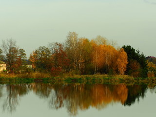 staw © Krzysztof
