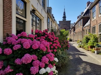 Kerkstraat and Nieuwe Kerk, Haarlem, The Netherlands