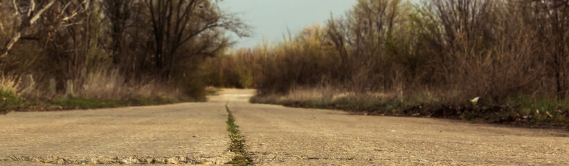 Cracked road in which grass grows