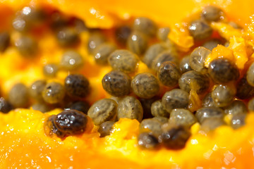 Seeds in orange papaya fruit.