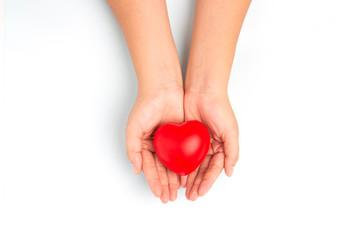 Woman doctor hands holding red heart on wide blue background donate for foundation hospital blood care concept Panoramic world heart and health day, People CSR community, foster support children organ