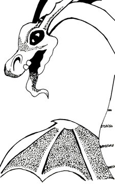 Black and white mystery  dragon