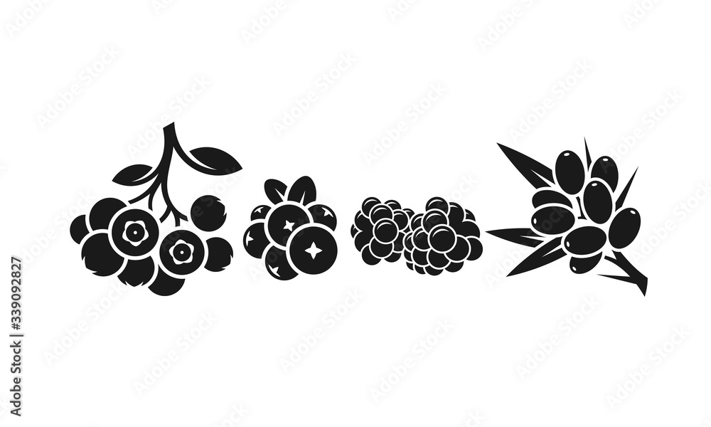 Sticker berries. healthy food. isolated blueberry cranberry blackberry and sea buckthorn berry