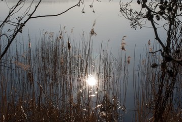 Obraz premium Spring bottling of a small river, trees are reflected in the water