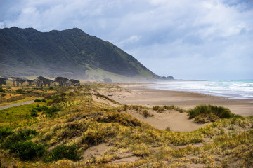 Traum Landschaft am Ende der Welt, in Neuseeland ohne Menschen, perfekter Strand - 339092896