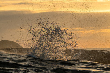 Welle spritzt an einem Felsen hoch im golden Licht - 339093033