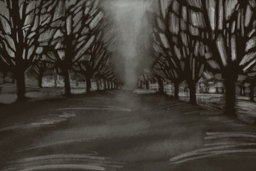 Obraz premium foggy morning in the forest