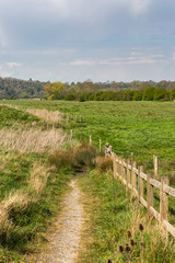 Fototapeta na wymiar rural landscape with a fence