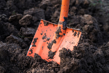 Spade in ground in garden. Orange shovel © marcinm111