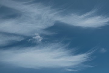 Cirrus - beautiful clouds in the sky resembling feathers