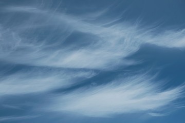 Cirrus - beautiful clouds in the sky resembling feathers