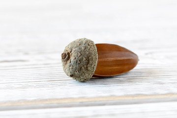 An old dry acorn on a light wooden background. Close up. Selective focus.