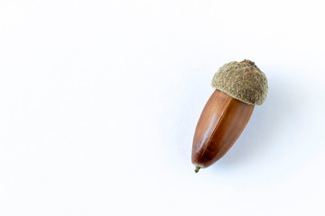 An old dry acorn. Isolated on white background. Close up. Selective focus.