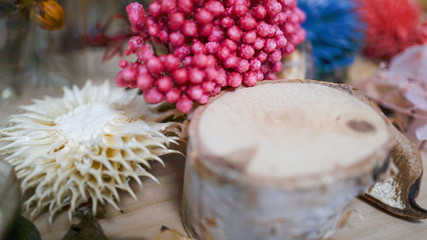 色鮮やかなドライフラワー