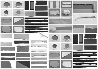 Collection of ripped torn paper isolated on white background