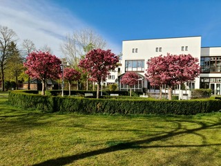 Ottobrunn im Frühling Rosengarten 