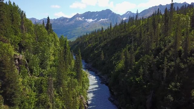 Flying high above an Alaskan mountain river cutting deep into pristine canyon forest, glacier melt, aerial