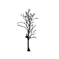 Tree silhouettes on white background. Vector illustration.