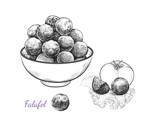 .Sketch of falafel. Falafel balls in a bowl, tomato and separate  balls on a leaf of lettuce. Vector illustration of Middle Eastern cuisine.