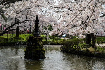 Naklejka premium Statue in a pond surrounded by white cherry blossoms