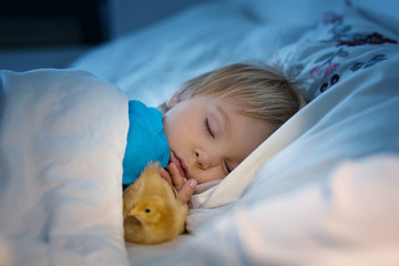 Little toddler, sleeping in bed with little chick