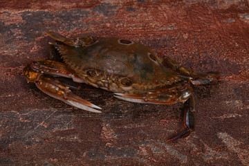 Raw crab - ready for cooking