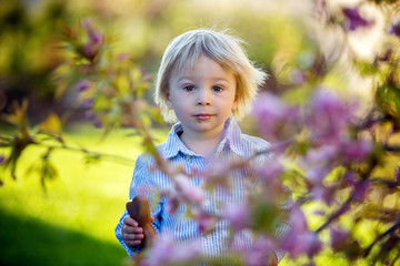Little toddler boy, eating chocolate bunny in garden on sunset, easter eggs around him