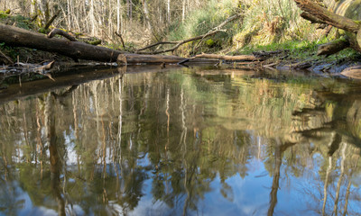 Fototapeta na wymiar river view in early spring, beautiful cloud reflections in water