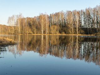 tree reflections in water