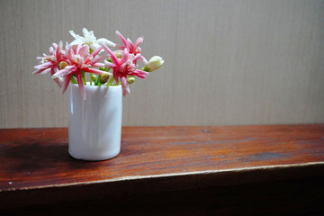 Pink Nail flower plants and vase