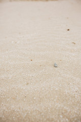 Sand texture background. Full frame shot. Vertical frame.