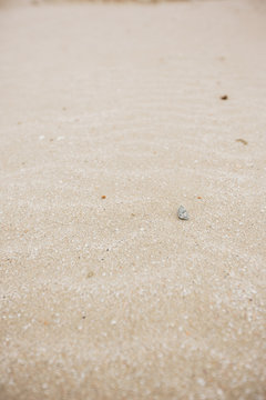 Sand texture background. Full frame shot. Vertical frame.