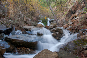 sierra Bermeja es un bosque mediterráneo en el sur de España, Andalucía	