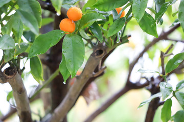雨降りイメージ