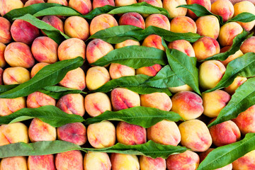 bright nectarines in the market